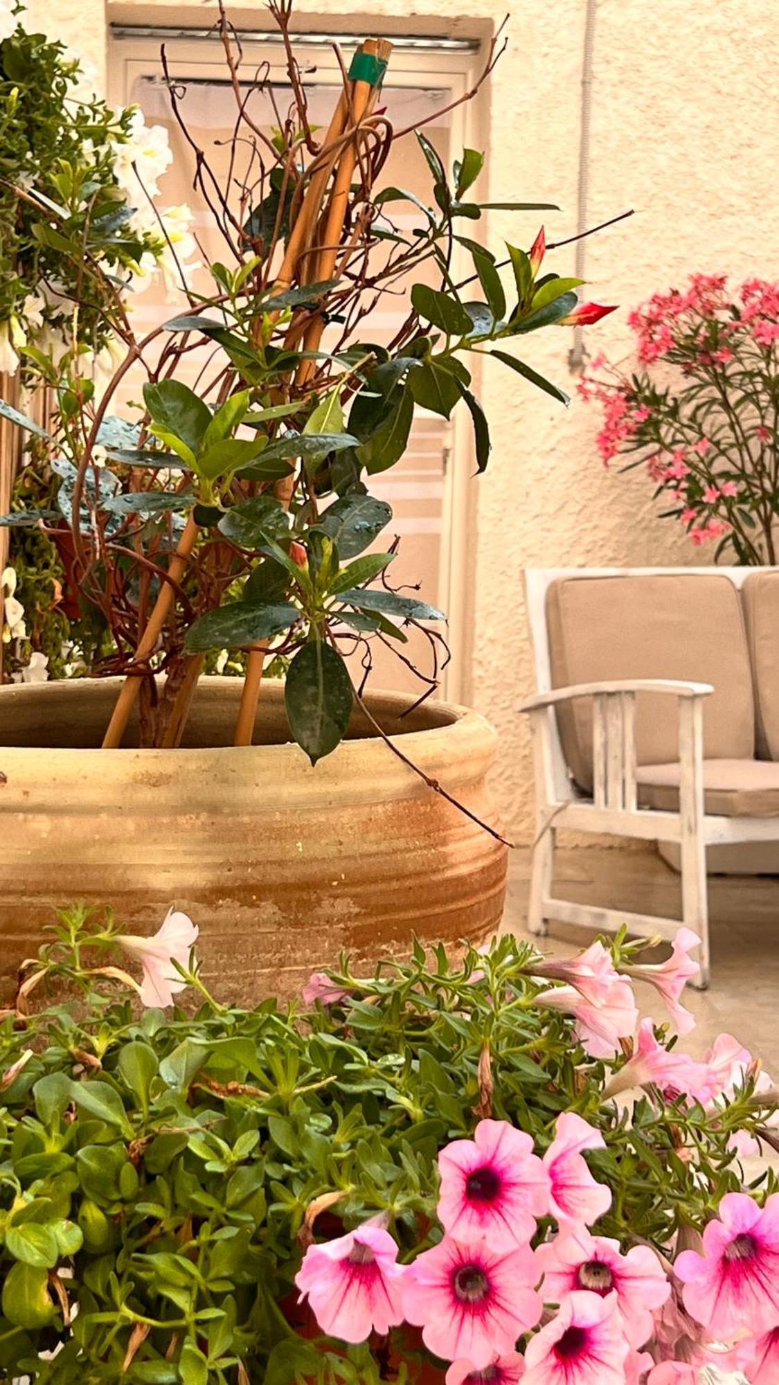 Dimora Donna Vitalia Apartments トラーパニ エクステリア 写真